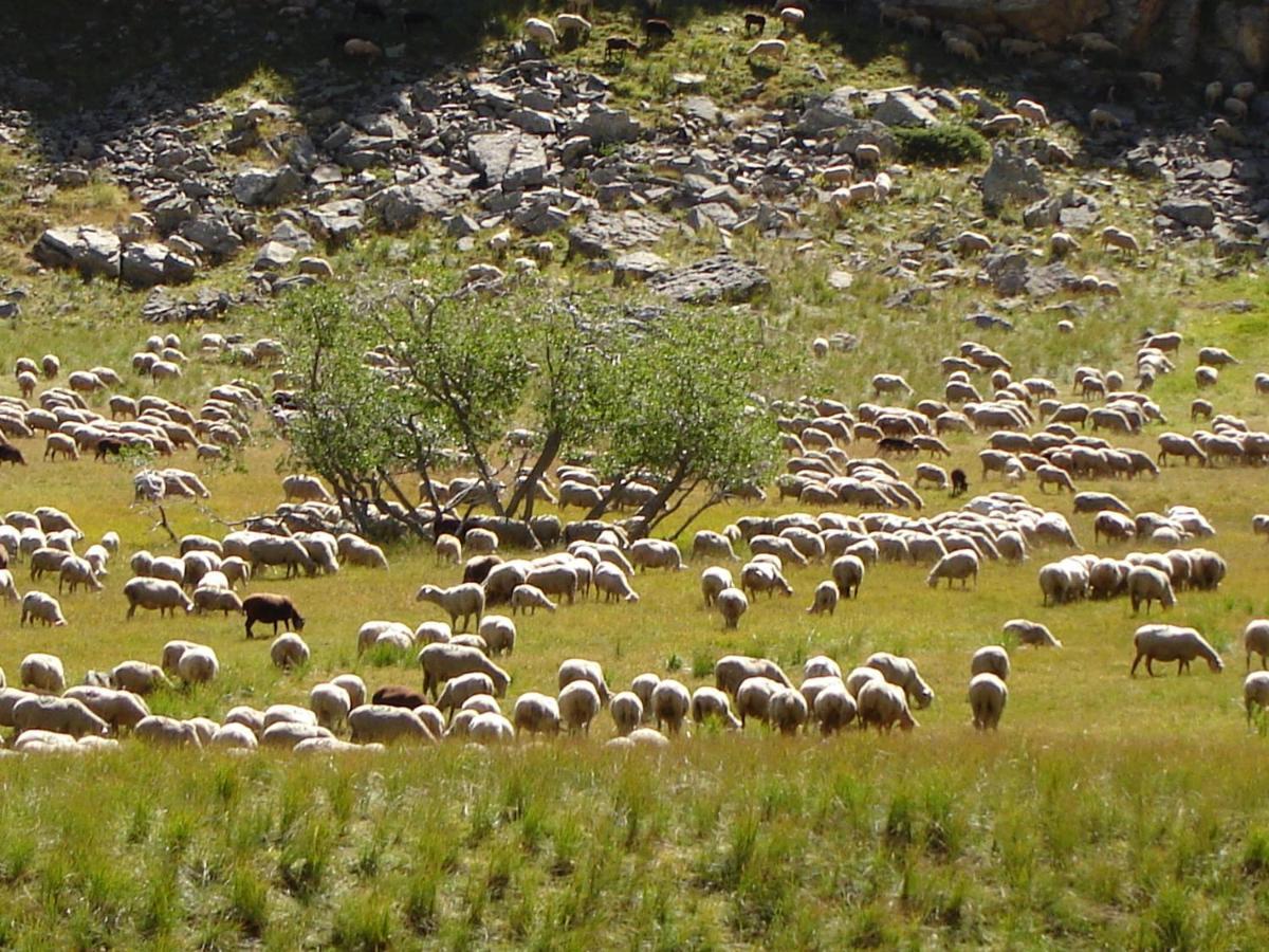 La Petite Etoile D'Hotes En Mercantour Saint-Dalmas-le-Selvage Экстерьер фото