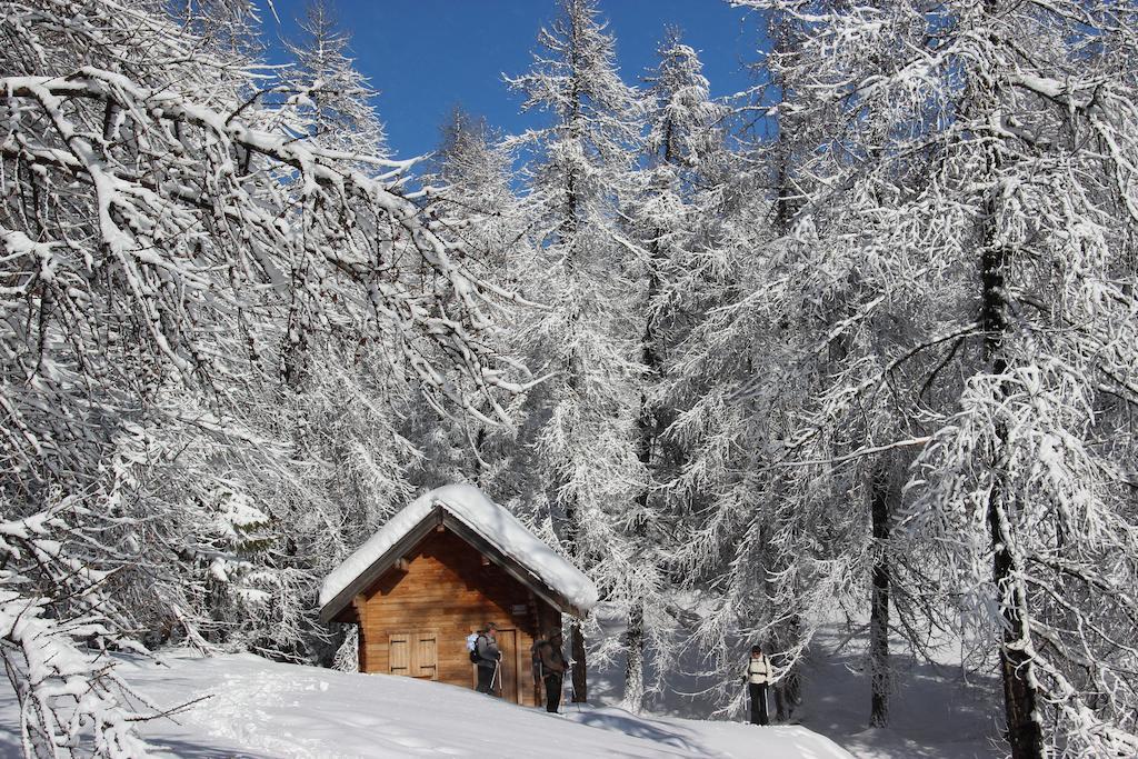 La Petite Etoile D'Hotes En Mercantour Saint-Dalmas-le-Selvage Экстерьер фото