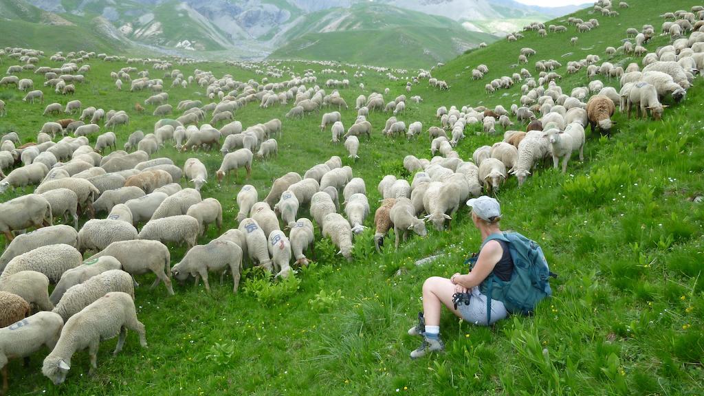 La Petite Etoile D'Hotes En Mercantour Saint-Dalmas-le-Selvage Экстерьер фото